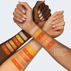 12 Pan Ready for Anything Social Butterfly