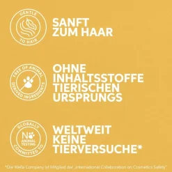 After Sun Express Conditioner