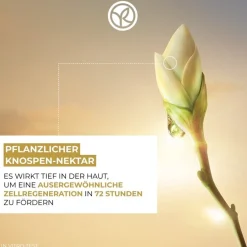 Antiverouderende verfraaiende dagcrème