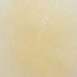 bakuchiol druppels, Zonder geur