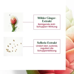 Balancerende shampoo voor vette roos