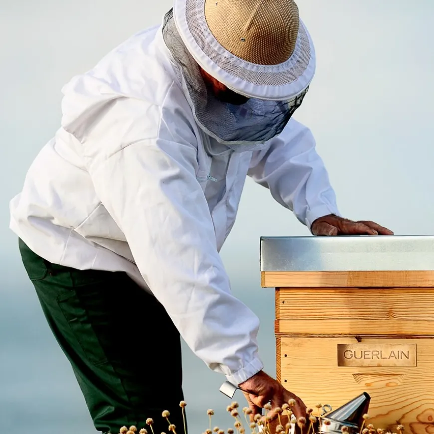 Double R Renew & Repair Advanced Serum