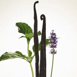 Eau de Parfum Intense Spray