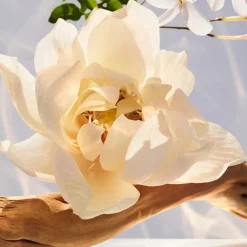 Eau de Parfum Spray, Crystalline