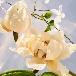 Eau de Parfum Spray, Crystalline