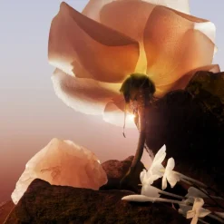 Eau de Parfum Spray Florale, Now