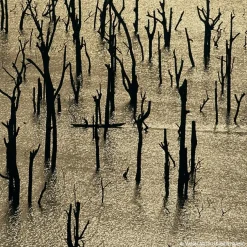 Eau de Parfum Spray, Rosa Rossa Forte