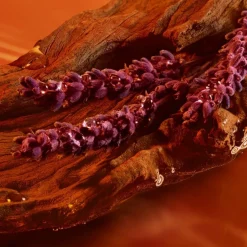 Eau de Parfum Spray, Stronger With You Intensely