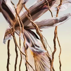 Eau de Parfum Spray, Terrae Essence