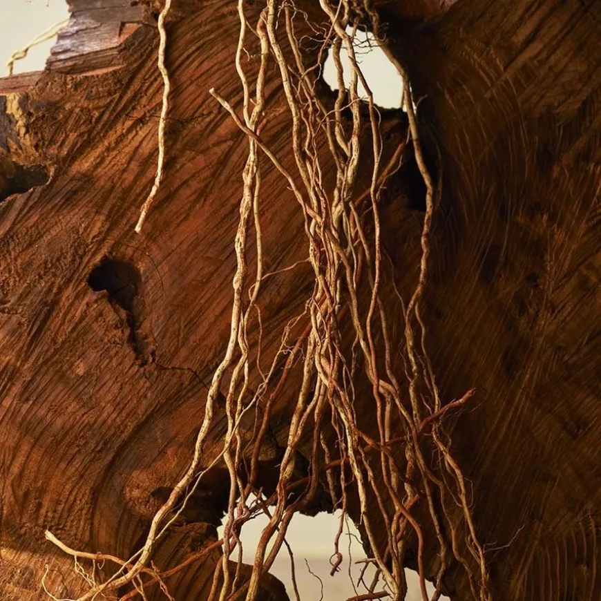 Eau de Parfum Spray, Terrae Essence