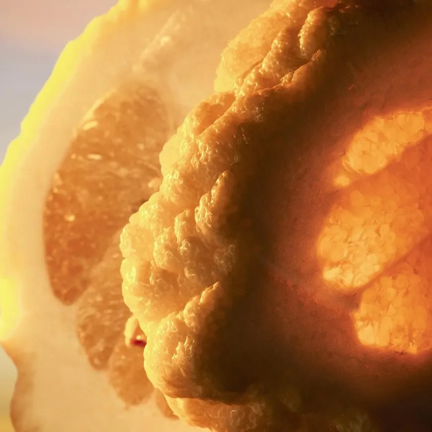 Eau de Parfum Spray, Terrae Essence