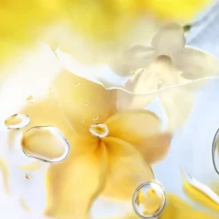 Eau de Toilete Spray, Ô Zenith