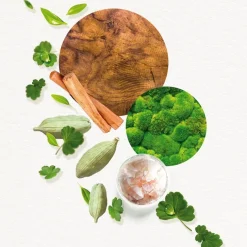 Eau De Toilette Nevel