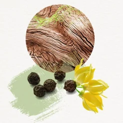 Eau de Toilette Spray