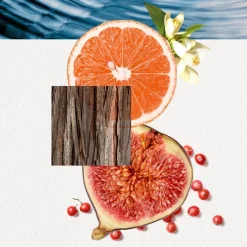 Eau de Toilette Spray