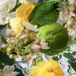 Eau de Toilette Spray, Bergamote Calabria