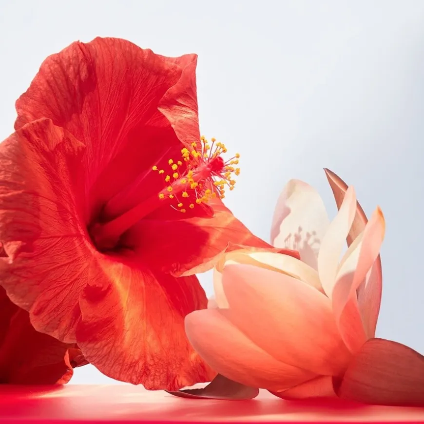 Eau de Toilette Spray, Coral