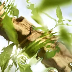 Eau de Toilette Spray, Ôff Now