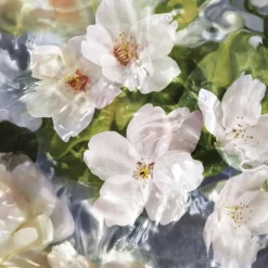 Eau de Toilette Spray, Flora Cherrysia