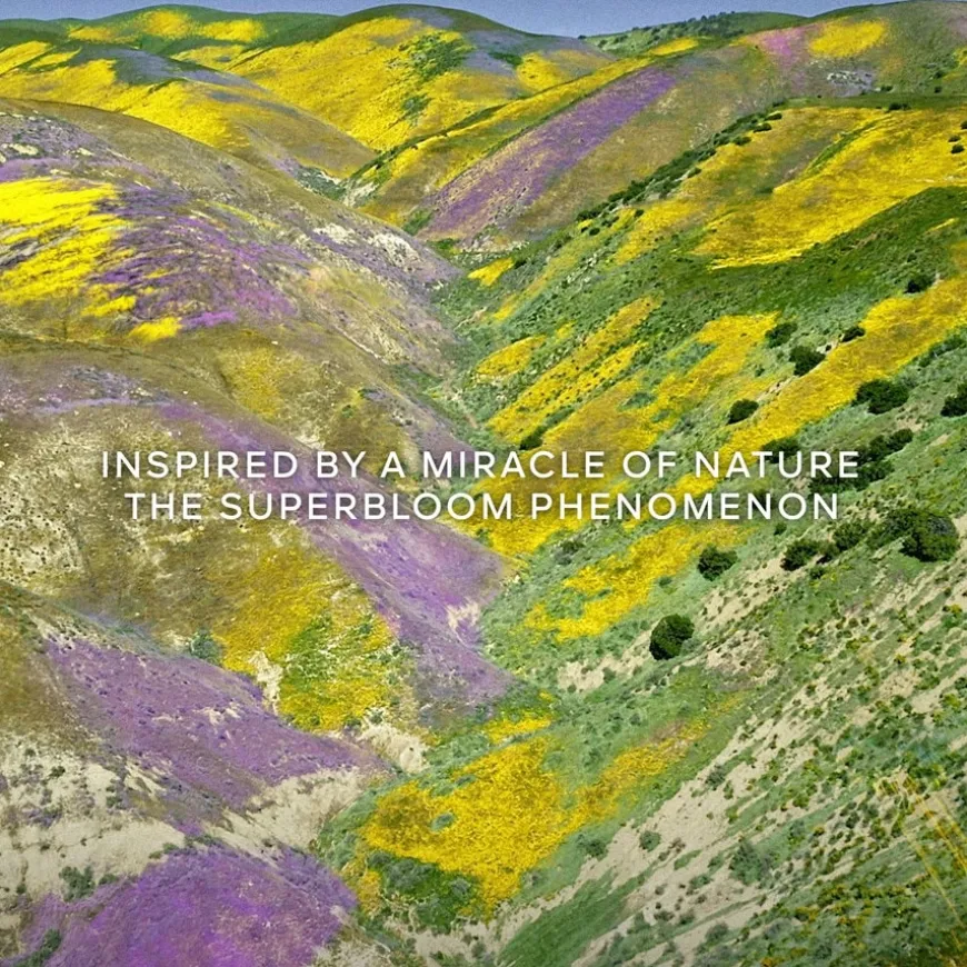 Eau de Toilette Spray, Florabloom