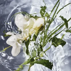 Eau de Toilette Spray, Herba Fresca