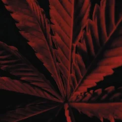 Eau de Toilette Spray Intense, L'Instinct