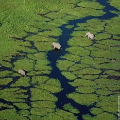 Eau de Toilette Spray, Pera Granita