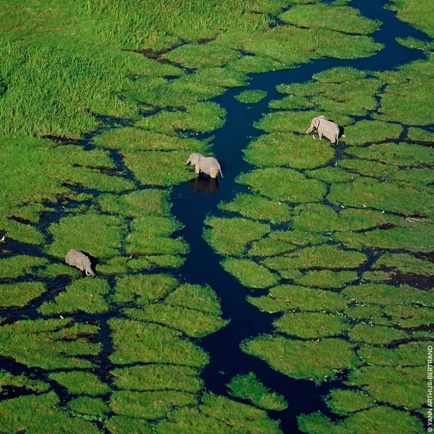 Eau de Toilette Spray, Rosa Verde
