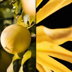 Eau de Toilette Spray, Terracotta