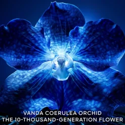 Exceptional Complete Longevity Care Cream