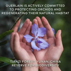 Exceptional Complete Longevity Care Cream