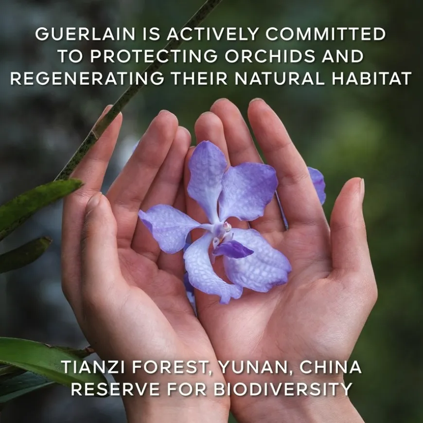 Exceptional Complete Longevity Care Rich Cream