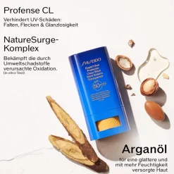 Expert Sun Protector Clear Stick