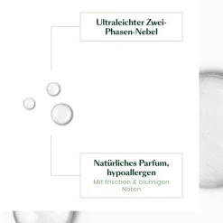 Express ontwarrende spray