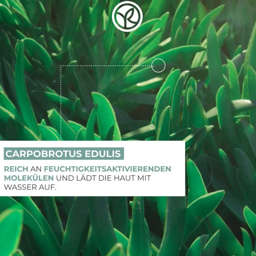 100H Non-Stop Hydraterend Serum