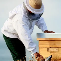 Honey Cataplasm Mask