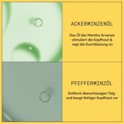 Hoofdhuid Therapy Revitaliserende Conditioner, Natuurlijk haar progressieve uitdunning