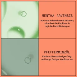 Hoofdhuid Therapy Revitaliserende Conditioner, Gekleurd haar Gevorderde uitdunning