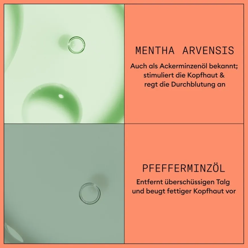 Hoofdhuid Therapy Revitaliserende Conditioner, Gekleurd haar Gevorderde uitdunning