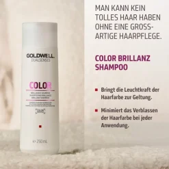 Kleur Brillance Kerstmis Set 2025