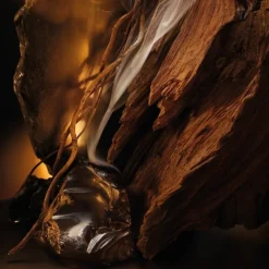 Parfum Intense Spray, Elixir