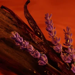 Parfum Spray, Absolutely