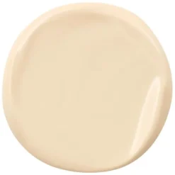 Power Plush Longwear Foundation