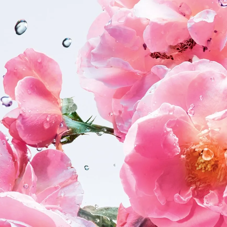 Roller-Pearl Rose N Roses