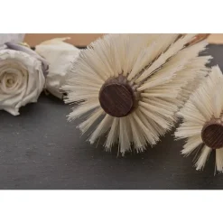 Ronde borstel blond Ø 9/40 mm