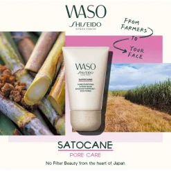 Satocane Pore Purifying Scrub Mask