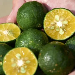 Shikulime Gel-To-Oil Cleanser