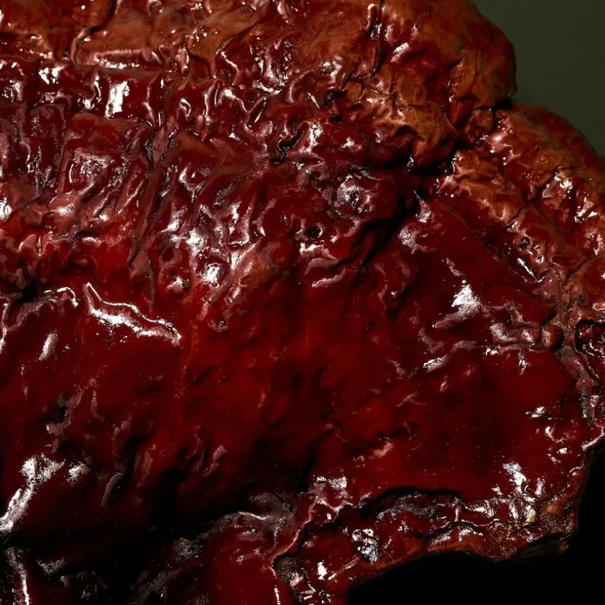 Stressbeschermende paddenstoelcrème