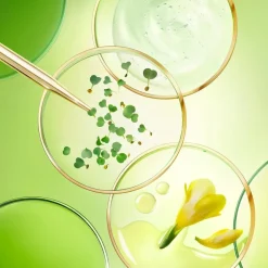 The Dark Spot Correcting Serum