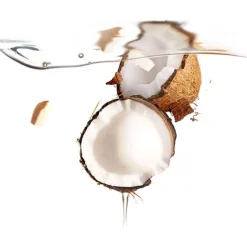 UFO Mask Coconut Oil